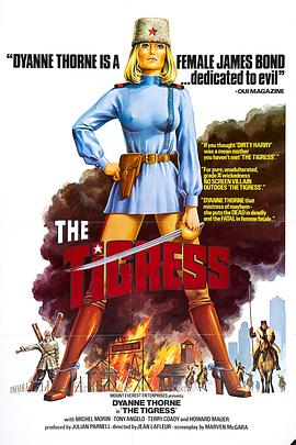 seo排名优化的网站